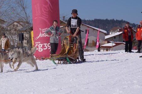 La Pesse 2014  Course de chiens de traineau  (dimanche 09/03/2014), DSC05596