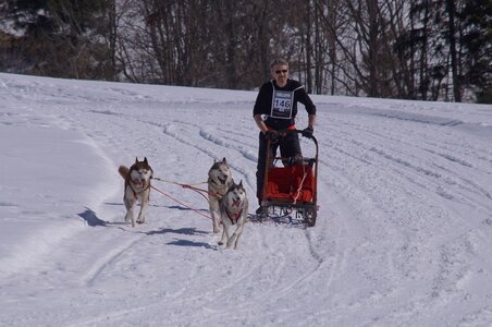 La Pesse 2014  Course de chiens de traineau  (dimanche 09/03/2014), DSC05600
