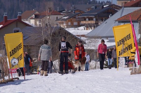 La Pesse 2014  Course de chiens de traineau  (dimanche 09/03/2014), DSC05604