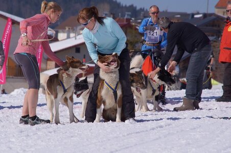La Pesse 2014  Course de chiens de traineau  (dimanche 09/03/2014), DSC05607
