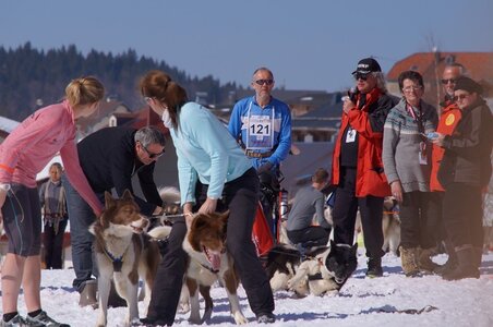 La Pesse 2014  Course de chiens de traineau  (dimanche 09/03/2014), DSC05614