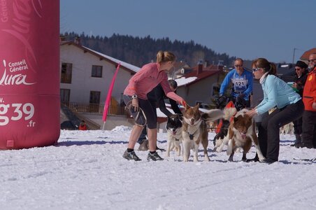La Pesse 2014  Course de chiens de traineau  (dimanche 09/03/2014), DSC05616