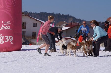 La Pesse 2014  Course de chiens de traineau  (dimanche 09/03/2014), DSC05618
