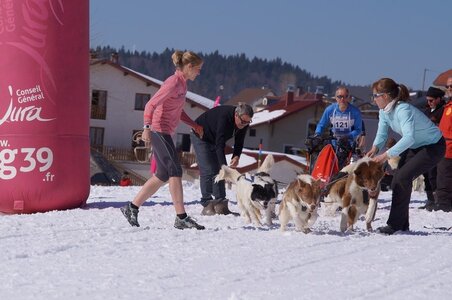 La Pesse 2014  Course de chiens de traineau  (dimanche 09/03/2014), DSC05619