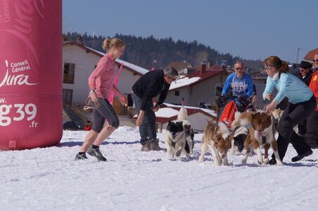 La Pesse 2014  Course de chiens de traineau  (dimanche 09/03/2014), DSC05620