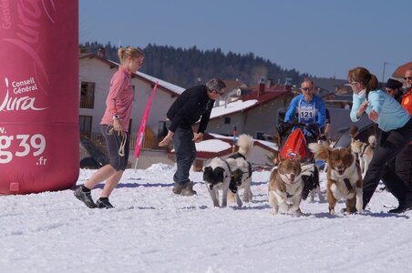 La Pesse 2014  Course de chiens de traineau  (dimanche 09/03/2014), DSC05621