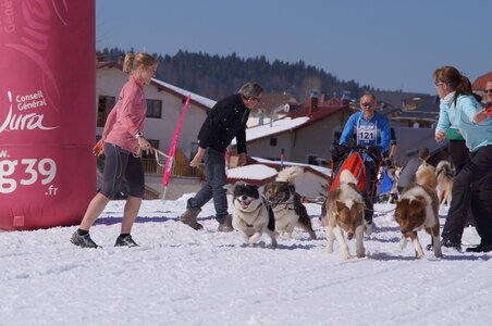 La Pesse 2014  Course de chiens de traineau  (dimanche 09/03/2014), DSC05622