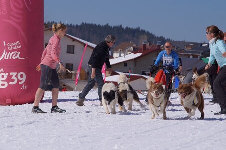 La Pesse 2014  Course de chiens de traineau  (dimanche 09/03/2014), DSC05623