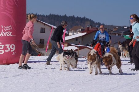 La Pesse 2014  Course de chiens de traineau  (dimanche 09/03/2014), DSC05624