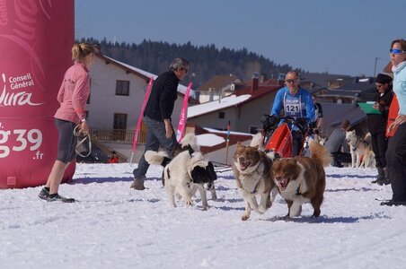 La Pesse 2014  Course de chiens de traineau  (dimanche 09/03/2014), DSC05625