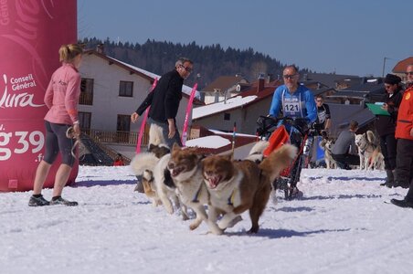 La Pesse 2014  Course de chiens de traineau  (dimanche 09/03/2014), DSC05627