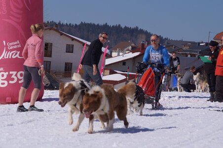 La Pesse 2014  Course de chiens de traineau  (dimanche 09/03/2014), DSC05628