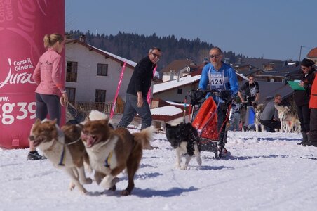 La Pesse 2014  Course de chiens de traineau  (dimanche 09/03/2014), DSC05629