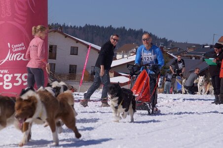La Pesse 2014  Course de chiens de traineau  (dimanche 09/03/2014), DSC05630