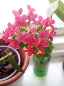 Nature photography 2014 , 1975045_675787975792624_2070651311_n