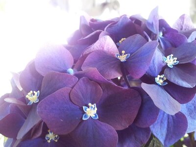 Nature photography 2014 , 1978677_675788339125921_972078987_n