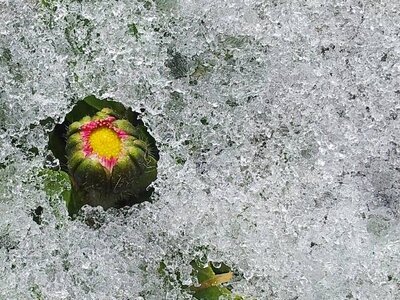 Nature photography 2014 , 1379551_675787222459366_1072237963_n