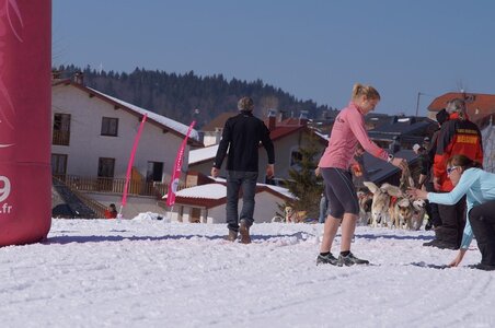 La Pesse 2014  Course de chiens de traineau  (dimanche 09/03/2014), DSC05634