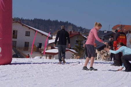 La Pesse 2014  Course de chiens de traineau  (dimanche 09/03/2014), DSC05635