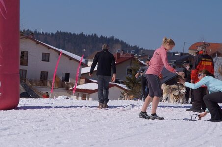 La Pesse 2014  Course de chiens de traineau  (dimanche 09/03/2014), DSC05636
