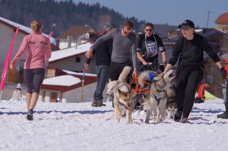 La Pesse 2014  Course de chiens de traineau  (dimanche 09/03/2014), DSC05638