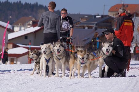 La Pesse 2014  Course de chiens de traineau  (dimanche 09/03/2014), DSC05641