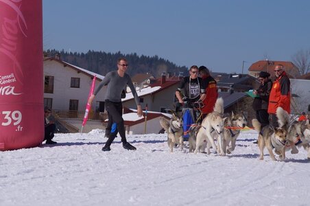 La Pesse 2014  Course de chiens de traineau  (dimanche 09/03/2014), DSC05643