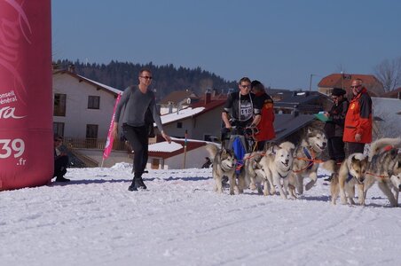 La Pesse 2014  Course de chiens de traineau  (dimanche 09/03/2014), DSC05644