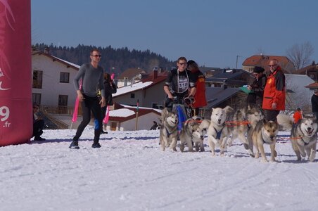 La Pesse 2014  Course de chiens de traineau  (dimanche 09/03/2014), DSC05645