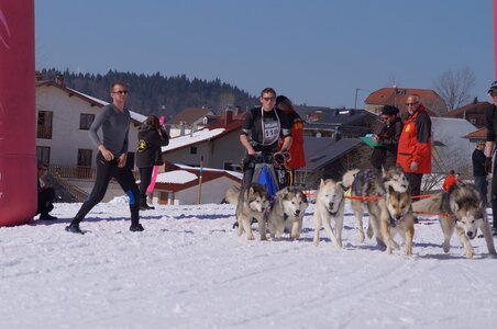 La Pesse 2014  Course de chiens de traineau  (dimanche 09/03/2014), DSC05646