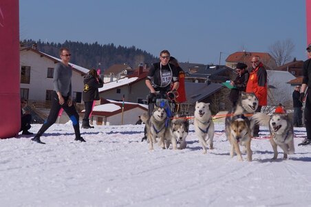 La Pesse 2014  Course de chiens de traineau  (dimanche 09/03/2014), DSC05647