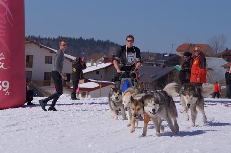 La Pesse 2014  Course de chiens de traineau  (dimanche 09/03/2014), DSC05648