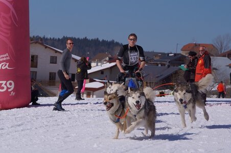 La Pesse 2014  Course de chiens de traineau  (dimanche 09/03/2014), DSC05649