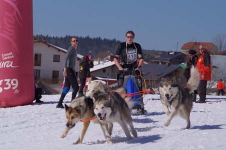 La Pesse 2014  Course de chiens de traineau  (dimanche 09/03/2014), DSC05650
