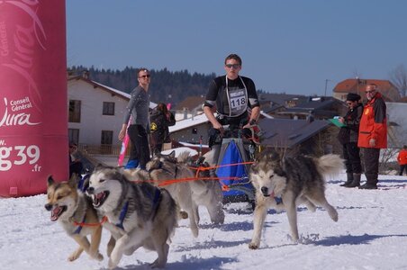 La Pesse 2014  Course de chiens de traineau  (dimanche 09/03/2014), DSC05651