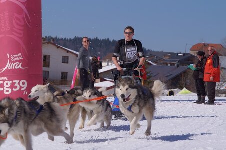 La Pesse 2014  Course de chiens de traineau  (dimanche 09/03/2014), DSC05652
