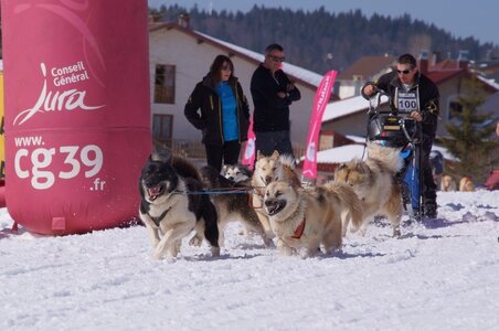 La Pesse 2014  Course de chiens de traineau  (dimanche 09/03/2014), DSC05657