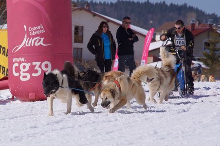 La Pesse 2014  Course de chiens de traineau  (dimanche 09/03/2014), DSC05658