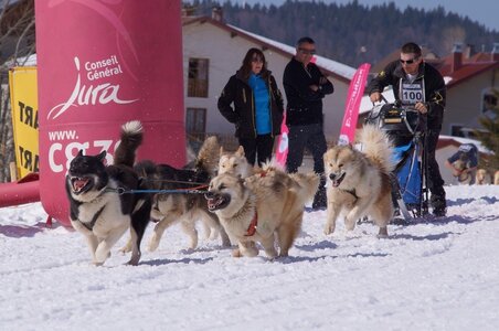 La Pesse 2014  Course de chiens de traineau  (dimanche 09/03/2014), DSC05659