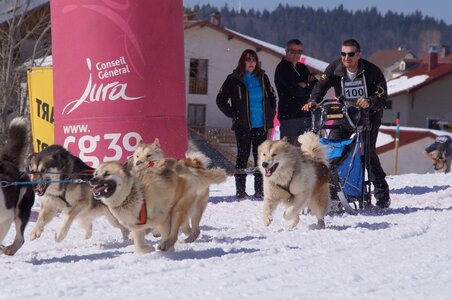La Pesse 2014  Course de chiens de traineau  (dimanche 09/03/2014), DSC05661