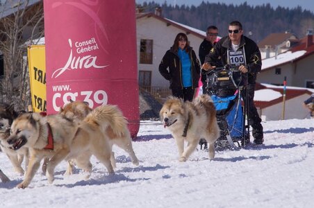 La Pesse 2014  Course de chiens de traineau  (dimanche 09/03/2014), DSC05662