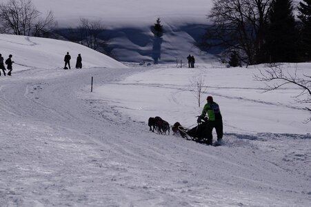 La Pesse 2014  Course de chiens de traineau  (dimanche 09/03/2014), DSC05666