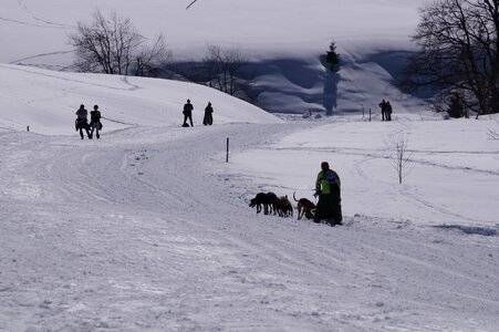 La Pesse 2014  Course de chiens de traineau  (dimanche 09/03/2014), DSC05667