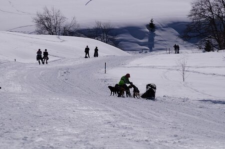 La Pesse 2014  Course de chiens de traineau  (dimanche 09/03/2014), DSC05668