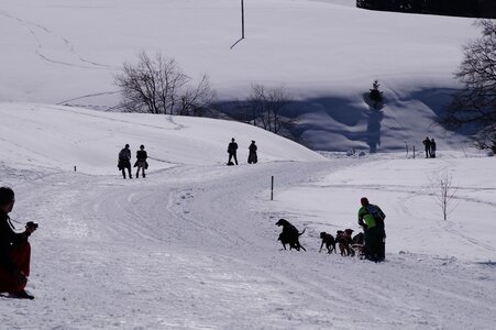 La Pesse 2014  Course de chiens de traineau  (dimanche 09/03/2014), DSC05669