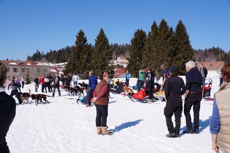 La Pesse 2014  Course de chiens de traineau  (dimanche 09/03/2014), DSC05670