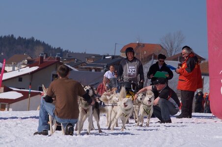 La Pesse 2014  Course de chiens de traineau  (dimanche 09/03/2014), DSC05673
