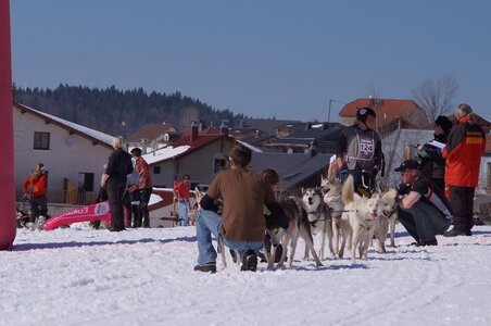 La Pesse 2014  Course de chiens de traineau  (dimanche 09/03/2014), DSC05676