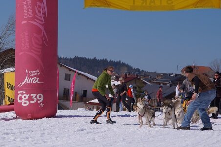 La Pesse 2014  Course de chiens de traineau  (dimanche 09/03/2014), DSC05677