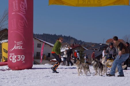 La Pesse 2014  Course de chiens de traineau  (dimanche 09/03/2014), DSC05678